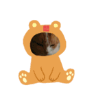 ととろですにゃ。《普段使える猫》（個別スタンプ：22）