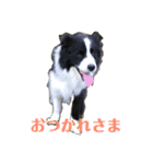 アレちゃんと一緒（個別スタンプ：1）