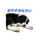 アレちゃんと一緒（個別スタンプ：5）