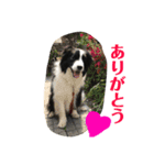 アレちゃんと一緒（個別スタンプ：7）
