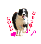 アレちゃんと一緒（個別スタンプ：8）
