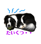 アレちゃんと一緒（個別スタンプ：9）