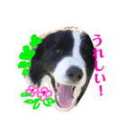 アレちゃんと一緒（個別スタンプ：13）