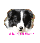 アレちゃんと一緒（個別スタンプ：14）