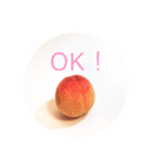 フルーツあいさつ(英語)（個別スタンプ：4）