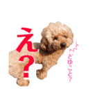 ぷう太くん（個別スタンプ：2）