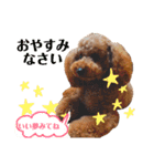 ぷう太くん（個別スタンプ：6）
