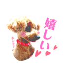 ぷう太くん（個別スタンプ：14）