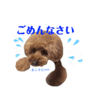 ぷう太くん（個別スタンプ：16）