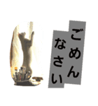 シロネコの日常①（個別スタンプ：8）
