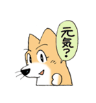 柴ヒメわんツー！（個別スタンプ：34）