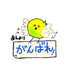 インコ～ぺぺちゃん～2《あん》スタンプ（個別スタンプ：16）