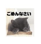 ナル ＆ コナ（個別スタンプ：8）