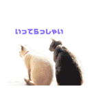 ナル ＆ コナ（個別スタンプ：13）
