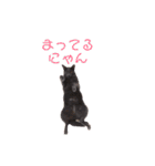 ナル ＆ コナ（個別スタンプ：25）