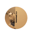 ナル ＆ コナ（個別スタンプ：26）