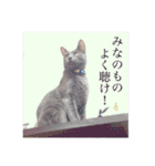 ナル ＆ コナ（個別スタンプ：33）