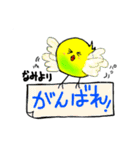 インコ～ぺぺちゃん～2《なみ》スタンプ（個別スタンプ：16）