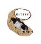 ダックスのアンジュちゃん(日常会話編)（個別スタンプ：6）