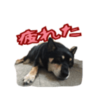 まいひめ、スタンプ第❷段（個別スタンプ：8）