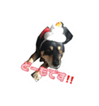 まいひめ、スタンプ第❷段（個別スタンプ：16）