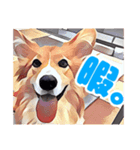 フラッフィーコーギーのモコちゃんズ2（個別スタンプ：3）