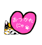 みけねこヒカちゃん（個別スタンプ：3）