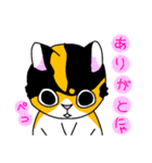 みけねこヒカちゃん（個別スタンプ：13）