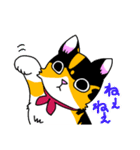 みけねこヒカちゃん（個別スタンプ：35）