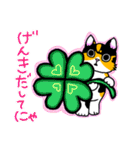 みけねこヒカちゃん（個別スタンプ：36）