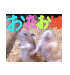 使いやすい言葉
ハムスターの哲学（個別スタンプ：39）