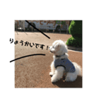 モコちゃん part.1（個別スタンプ：2）
