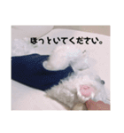 モコちゃん part.1（個別スタンプ：5）