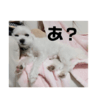 モコちゃん part.1（個別スタンプ：7）