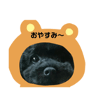 息子との会話（個別スタンプ：2）