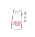 吉原さんが使う！長いねこちゃんスタンプ（個別スタンプ：5）