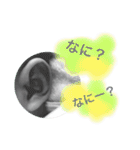 日常会話に赤ちゃん。（個別スタンプ：15）