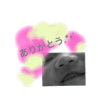 日常会話に赤ちゃん。（個別スタンプ：20）