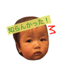 さくらとドルのスタンプ（個別スタンプ：12）
