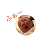 つむちゃん20180702（個別スタンプ：34）