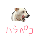 オミスタ（個別スタンプ：2）