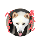 オミスタ（個別スタンプ：5）