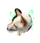 オミスタ（個別スタンプ：8）