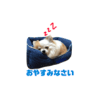 ぴち（個別スタンプ：2）