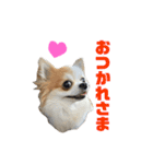 ぴち（個別スタンプ：5）