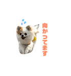 ぴち（個別スタンプ：7）