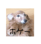 モモの感想スタンプ（個別スタンプ：14）