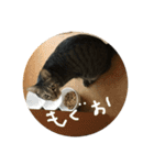 うるはさんだよ（個別スタンプ：8）
