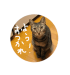 うるはさんだよ（個別スタンプ：10）