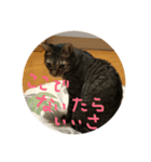 うるはさんだよ（個別スタンプ：11）